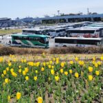 【バス運転士不足問題】何でも「バスがある」は通用しない！　いつまでもいると思うなバス運転士!?