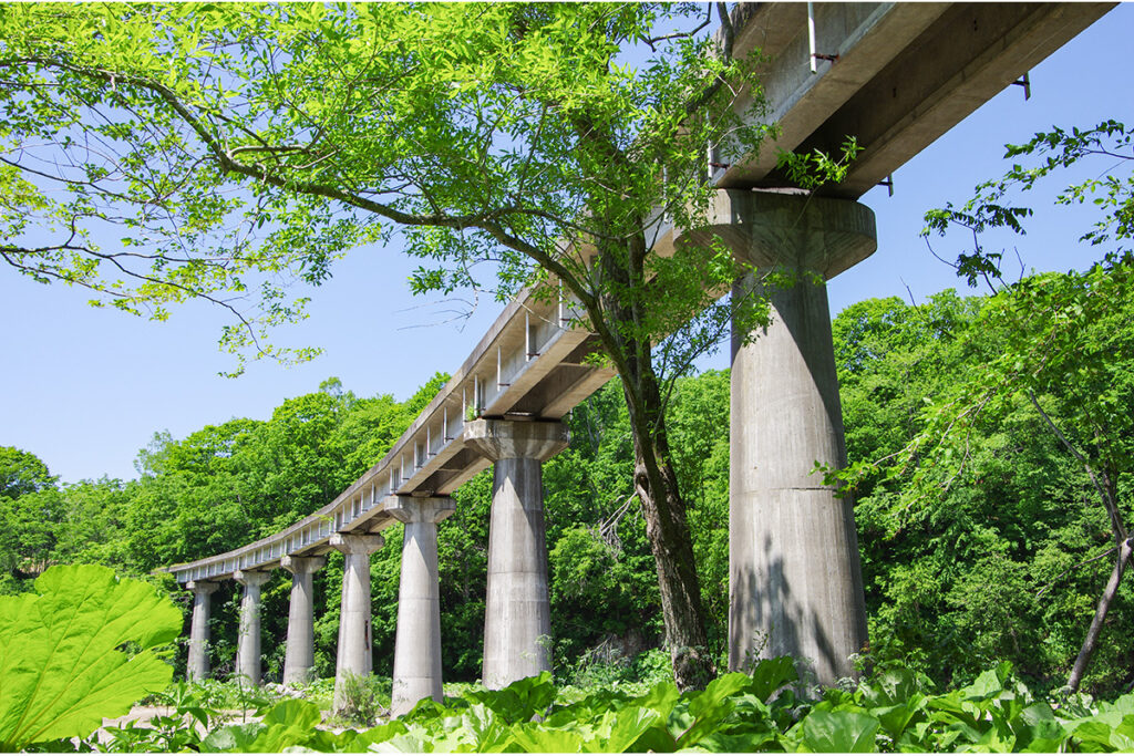 現役の橋梁のように見えてこれも遺構