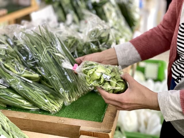 地元の野菜買えます！