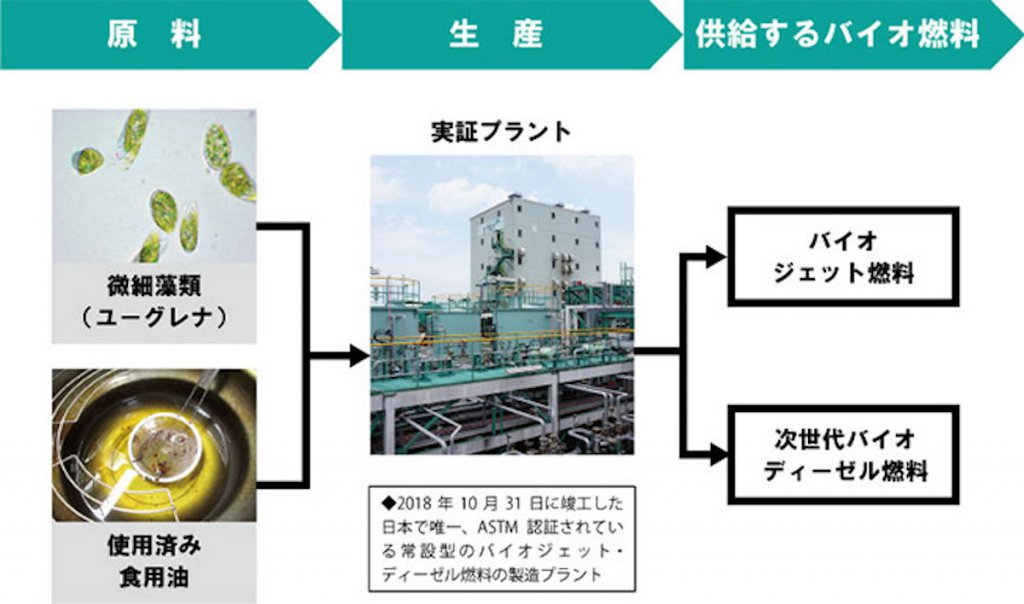 使用済み食用油（廃食油）とユーグレナを原料とするバイオ燃料の生産の流れ