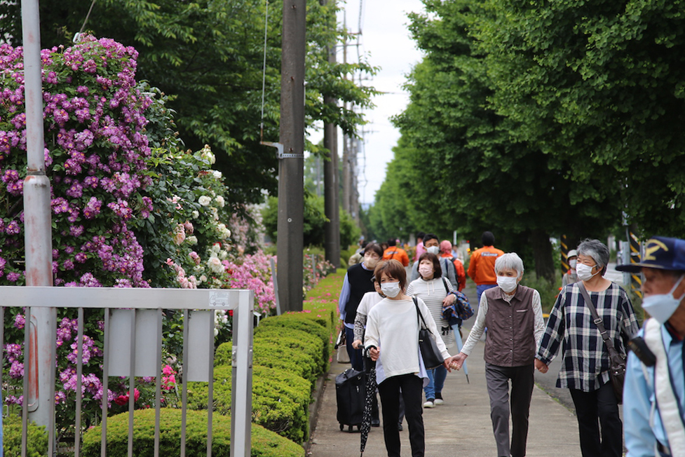 日本フルハーフの「ばら鑑賞会」には朝から地域の人たちが詰めかけました