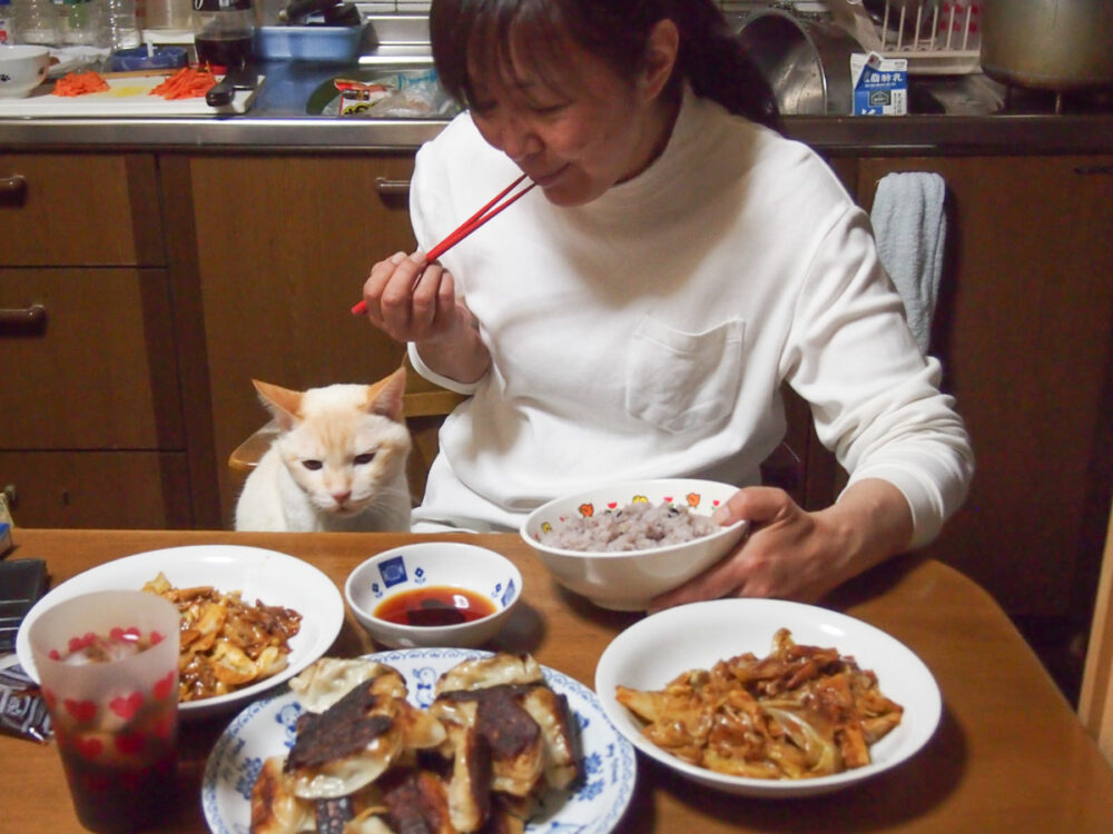 寝ることも食べることも大好きな海コンお姉さん。得意技は二度寝だが、延着したことはないのが自慢