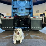 「もふもふ」がトラック業界を救う!?　ボルボが史上初めて大型トラックの「ペット安全性試験」を実施！