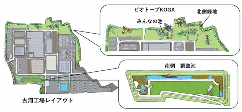 豊かな生態系を形成する古河工場